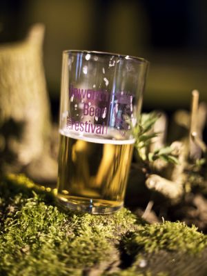 _haworth beer fest 16a.jpg